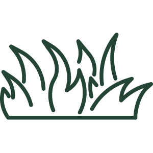 grass icon