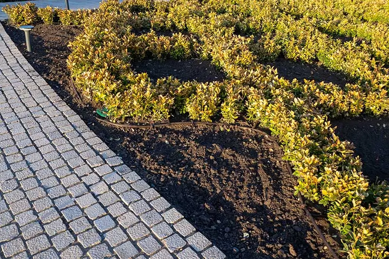 Landscape Design Services