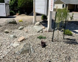 OK Valley hotel xeriscaping